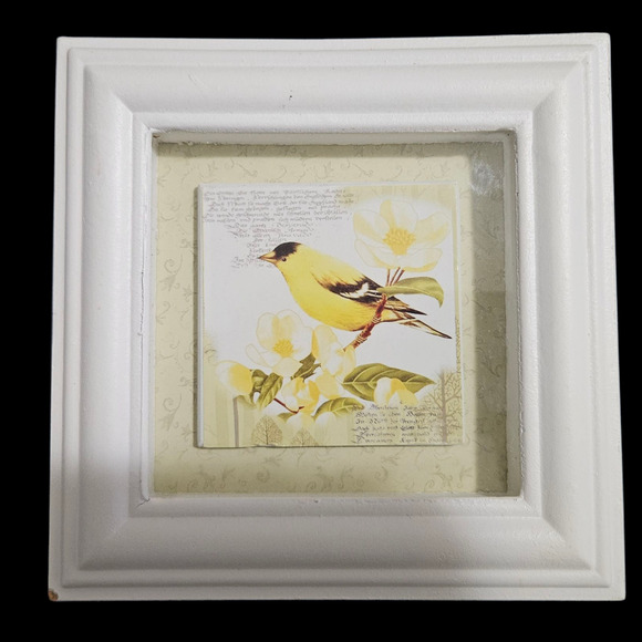 Pair White Framed Bird Wall Art Prints Bluebird Goldfinch Cottage Farmhouse Deco - Picture 4 of 5